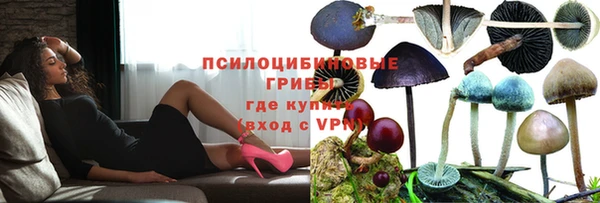 крисы Гусь-Хрустальный