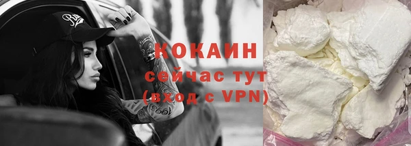 прущие крисы Гусев