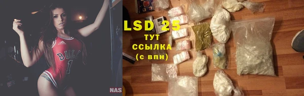прущие крисы Гусев