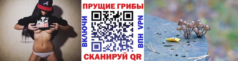 Псилоцибиновые грибы Psilocybine cubensis  как найти закладки  Дудинка 